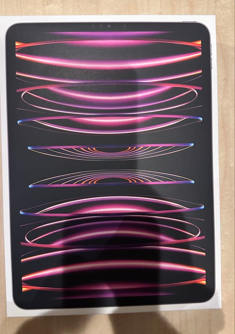 Apple iPad Pro 11インチ (第4世代) 256GB Wi-Fi