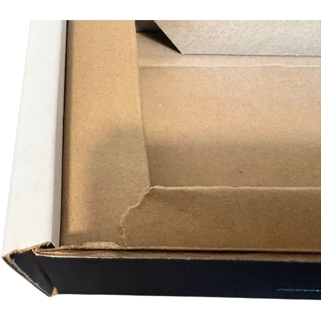 新品未使用 strymon Zuma ストライモン ズーマ 付属品完備 限定