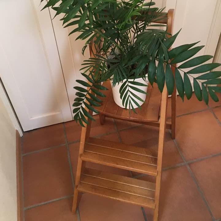 木製ステップ♡