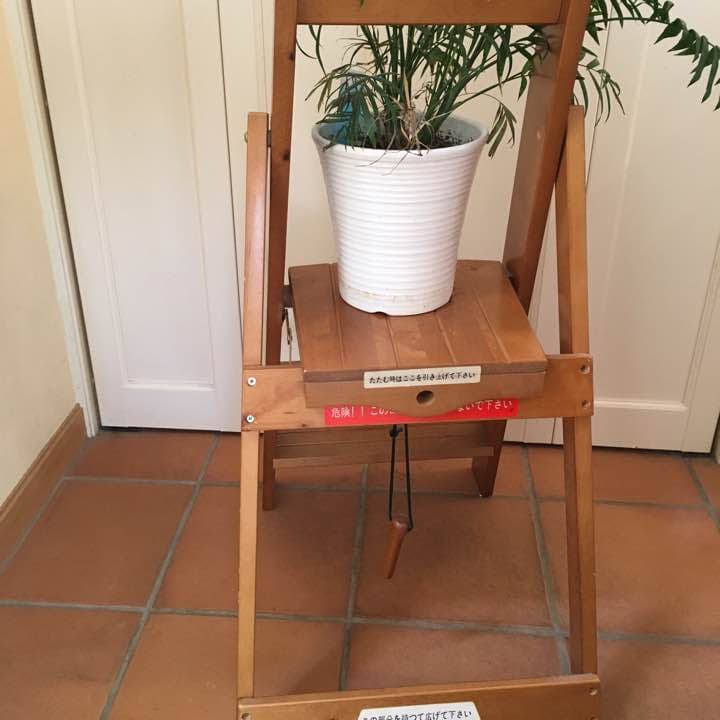 木製ステップ♡
