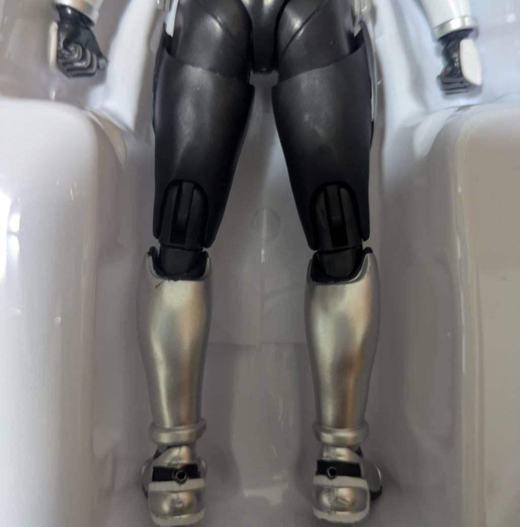 仮面ライダー電王 プラットフォーム ケータロスver 真骨彫 フィギュアーツ