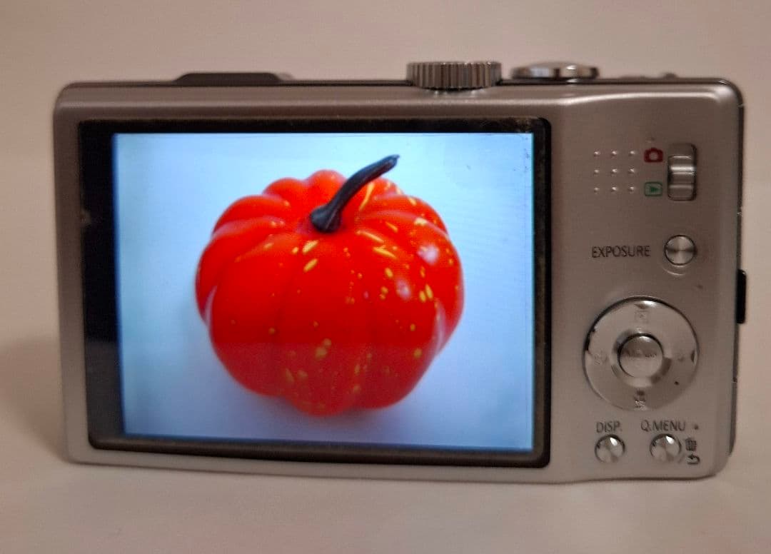 [準美品]パナソニック LUMIX GPS DMC-TZ20コンテジ