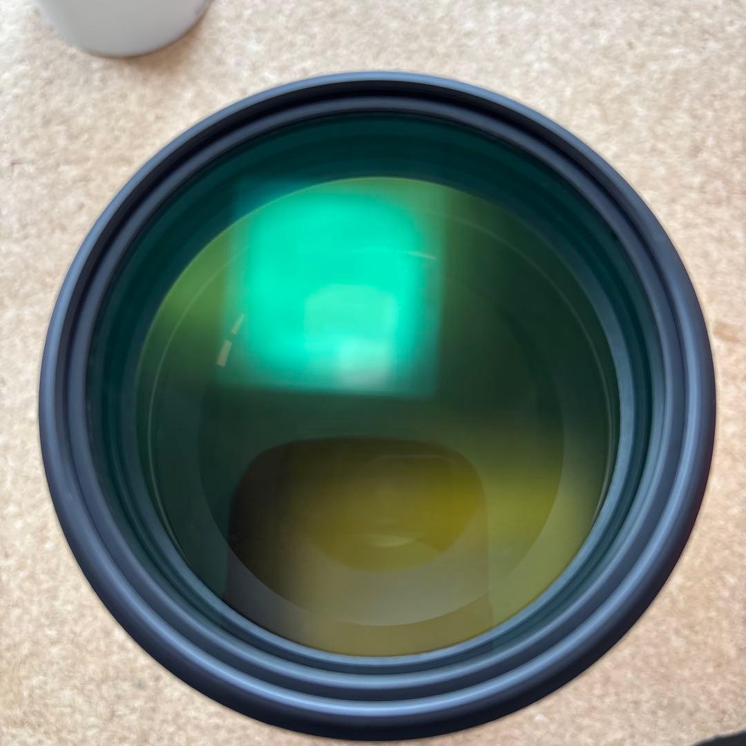 保護フィルター付 SONY ＦＥ200-600mm Ｆ5.6-6.3