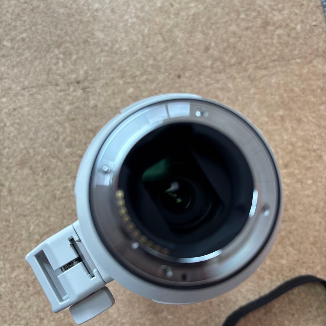 保護フィルター付 SONY ＦＥ200-600mm Ｆ5.6-6.3