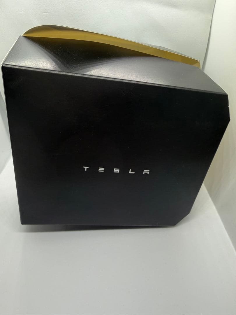 Tesla トートバッグ ミニカー ス ハンバーガーケース（未使用） 帽子