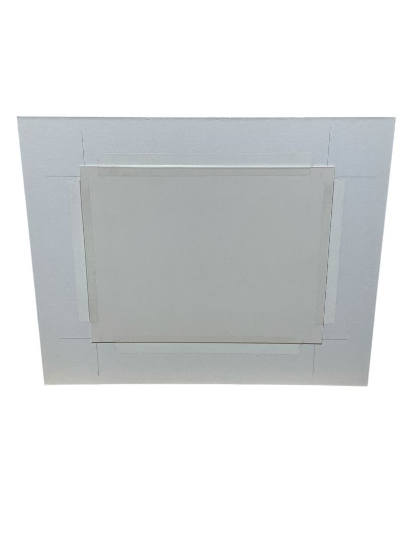 静物画 Trisha Hardwick トリッシャーハードウィッグ