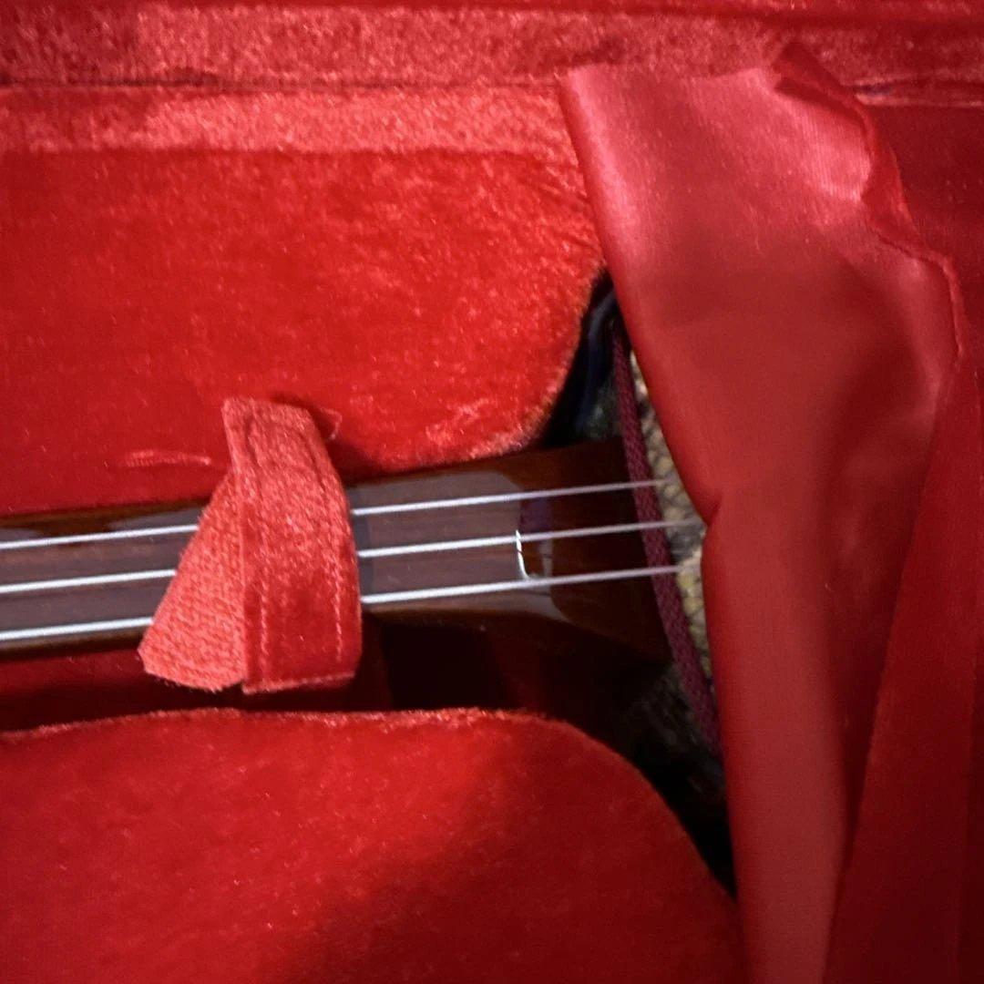 沖縄　三線　弦楽器　ソフトケース付き　リュックタイプ