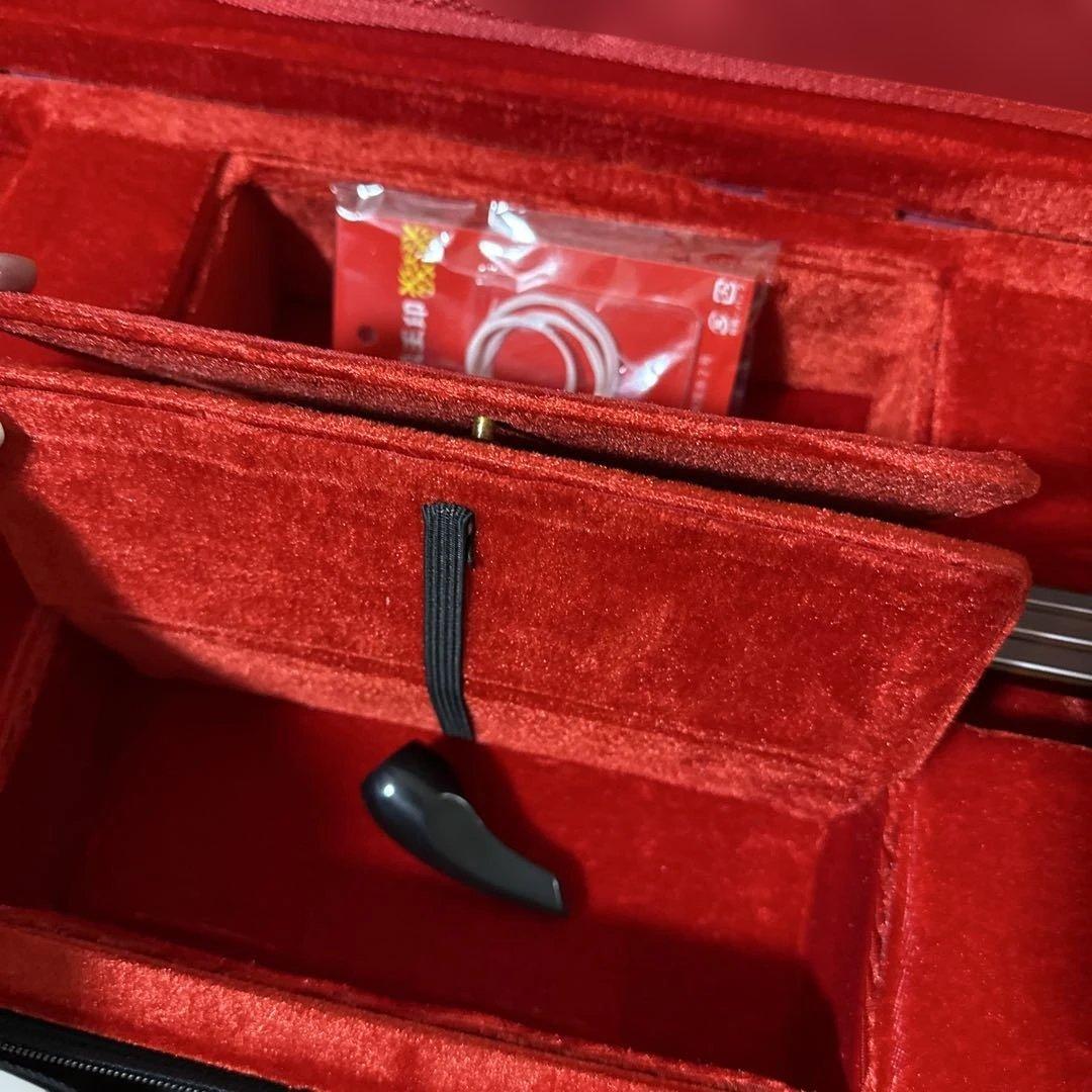 沖縄　三線　弦楽器　ソフトケース付き　リュックタイプ