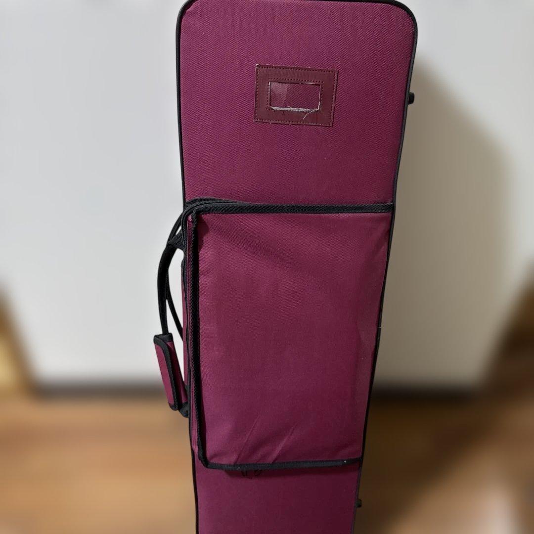 沖縄　三線　弦楽器　ソフトケース付き　リュックタイプ