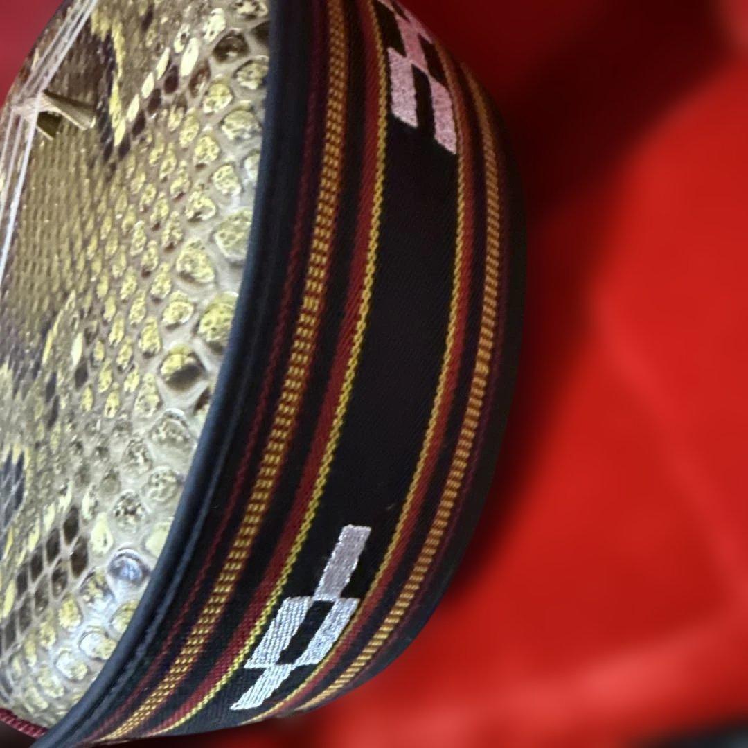 沖縄　三線　弦楽器　ソフトケース付き　リュックタイプ