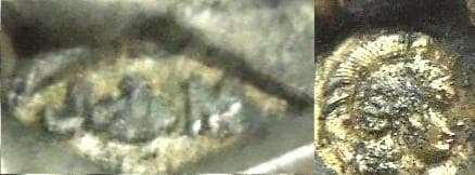 フランス　シルバーソルトスプーン2本　純銀