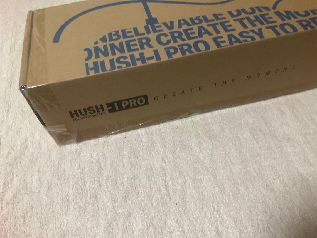 ギター Donner HUSH-I PRO