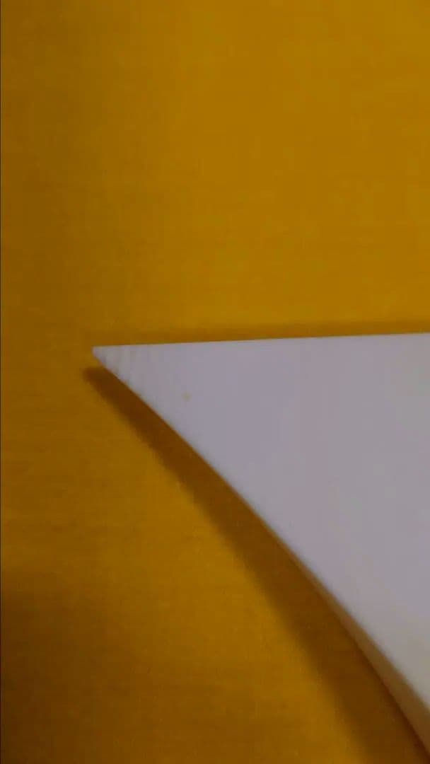 三味線の撥　最高級品　特大サイズ　塗りケース付き　地唄三味線　津山撥