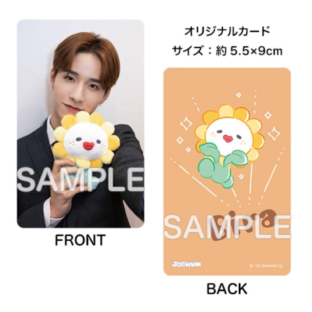 【未使用品】JOCHUM ジェオチャム Bira ビラ 佐藤景瑚 ぬいぐるみ