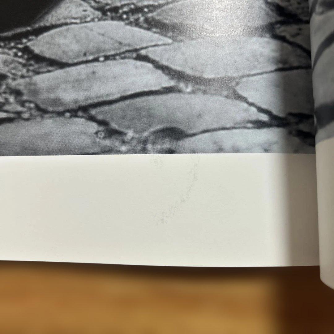 玉置浩二ツアーパンフレット2冊