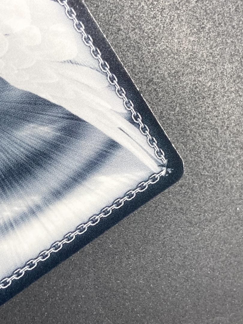 WS SP 冬の装い フリーレン(サイン入り)