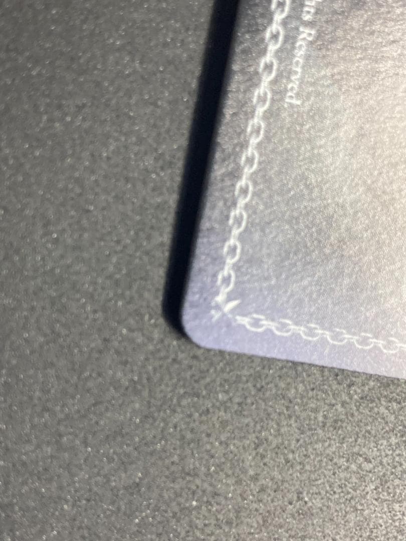 WS SP 冬の装い フリーレン(サイン入り)