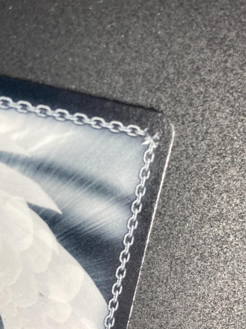 WS SP 冬の装い フリーレン(サイン入り)