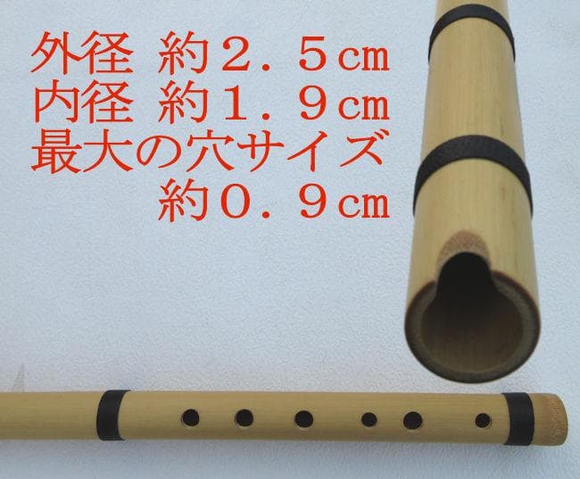 ペルー ケーナ Z-V03 フォルクローレ楽器 民族楽器 ケース付 アンデス楽器