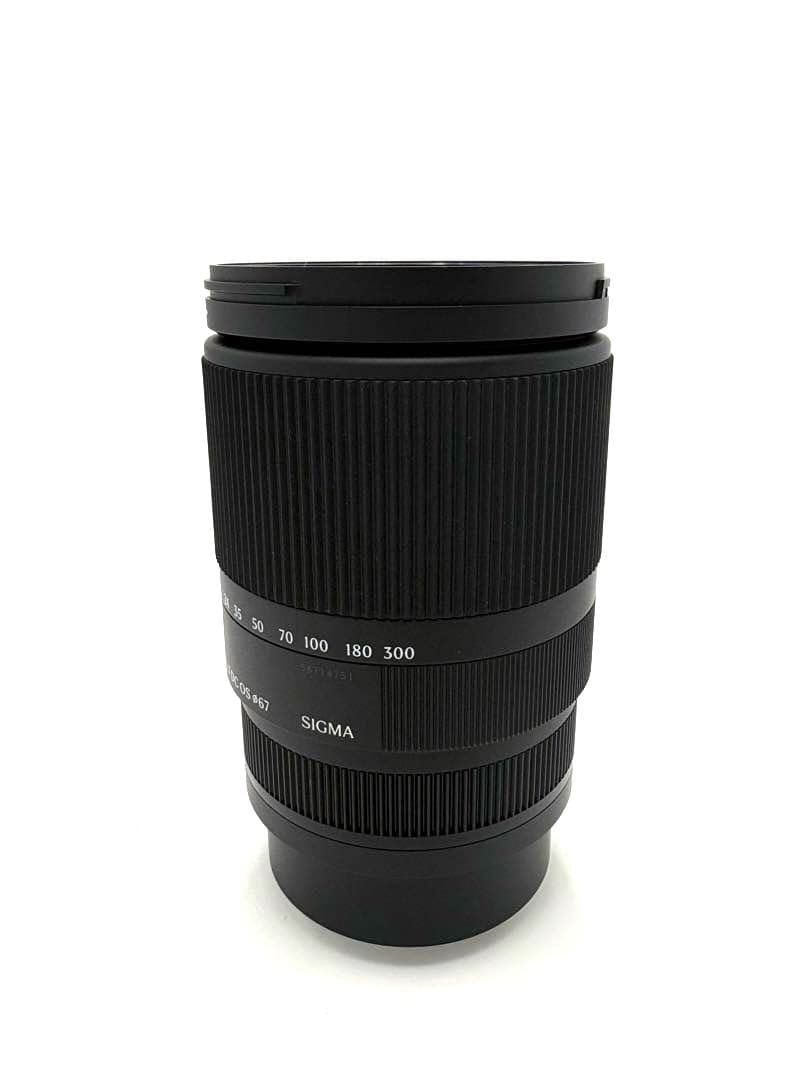 16-300mm F3.5-6.7 DC OS ソニーE用 SIGMA