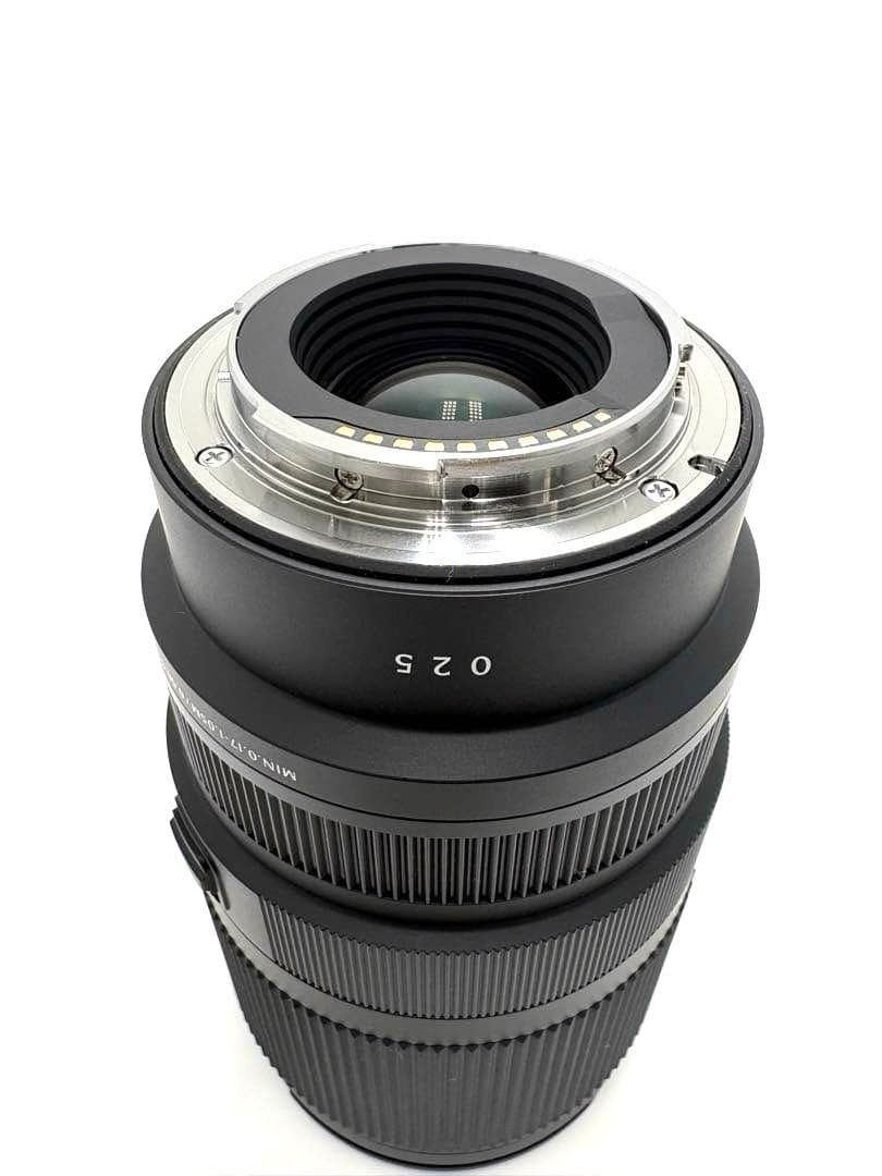 16-300mm F3.5-6.7 DC OS ソニーE用 SIGMA