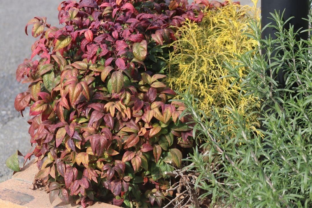 ❣️Canon Kiss X9i❣️ ダブルレンズ　一眼レフWi-Fi搭載　大人気