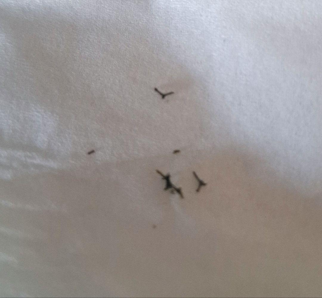 ONKYO CDチューナーアンプ スピーカーセット