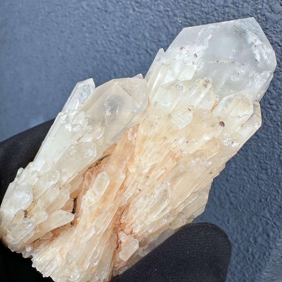 爆アレ❗️可愛いピンク♡超綺麗マダガスカル産パイナップルピンククラスターA1619