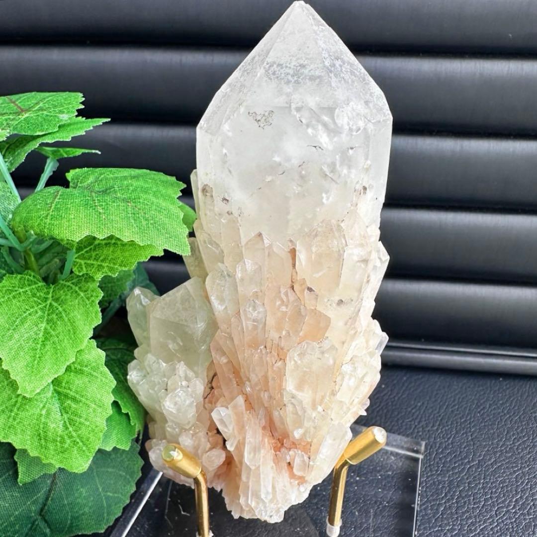 爆アレ❗️可愛いピンク♡超綺麗マダガスカル産パイナップルピンククラスターA1619