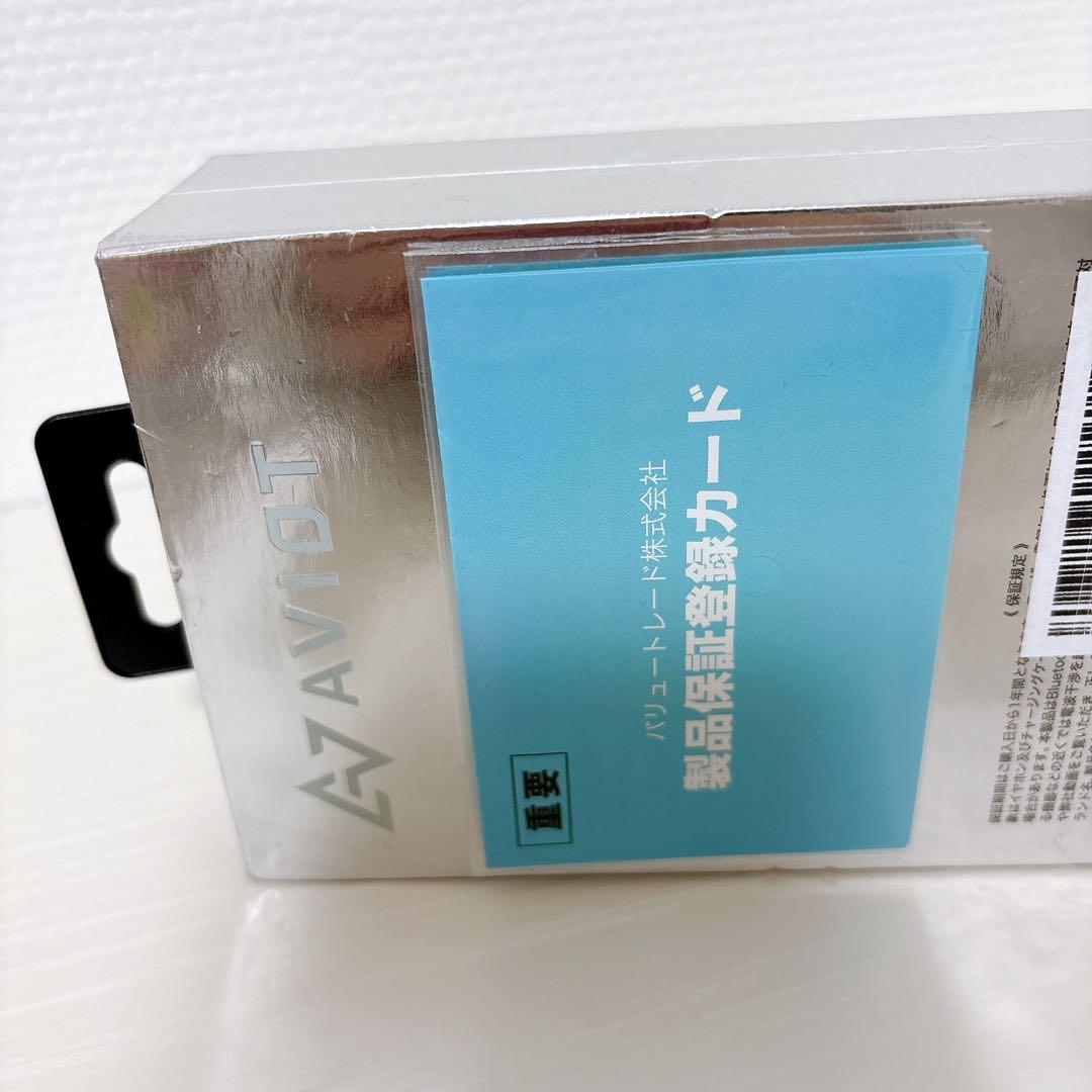 AVIOT WE-BD21d Silver ワイヤレスイヤホン アビオット