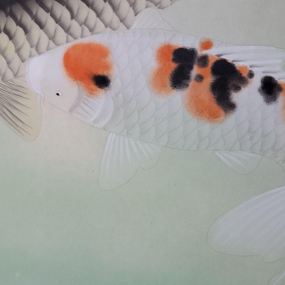 双鯉　西村華峰作　掛け軸