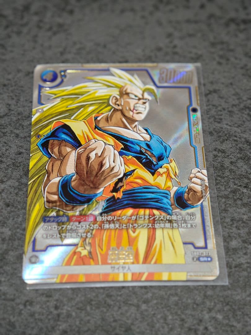 sb02-023　孫悟空　パラレル