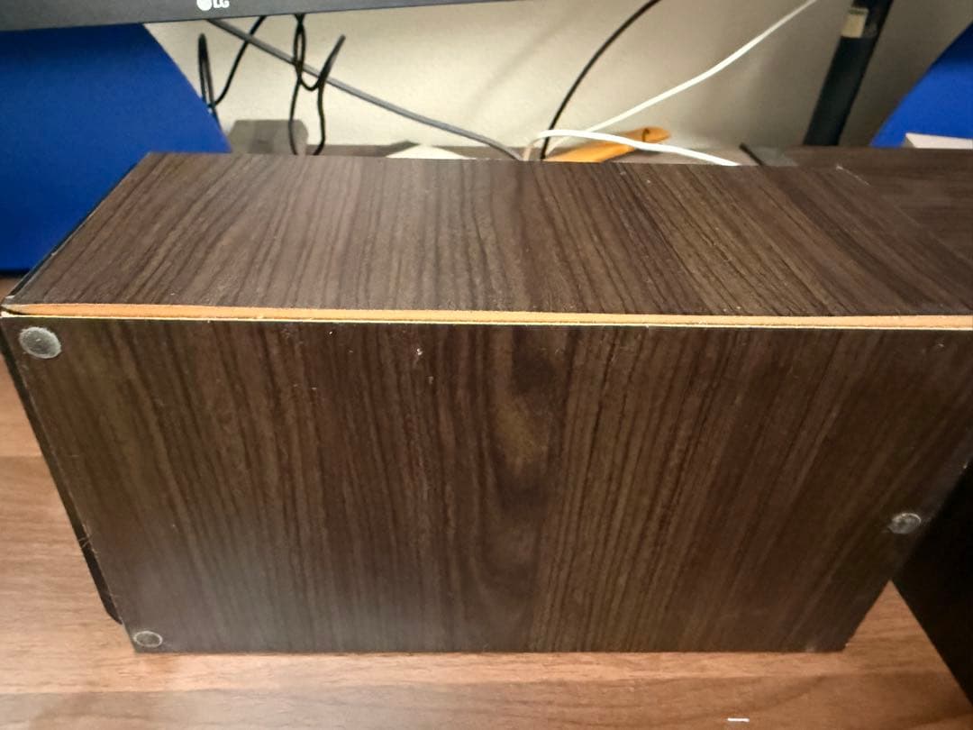 Victor ウッドコーンスピーカー　SP-EXS5