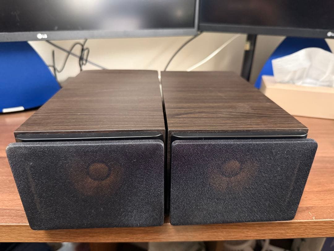 Victor ウッドコーンスピーカー　SP-EXS5