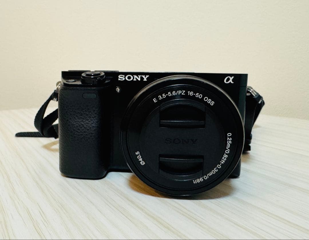 SONY α6000 ダブルズームキット 動作確認済 レンズフィルターおまけ付