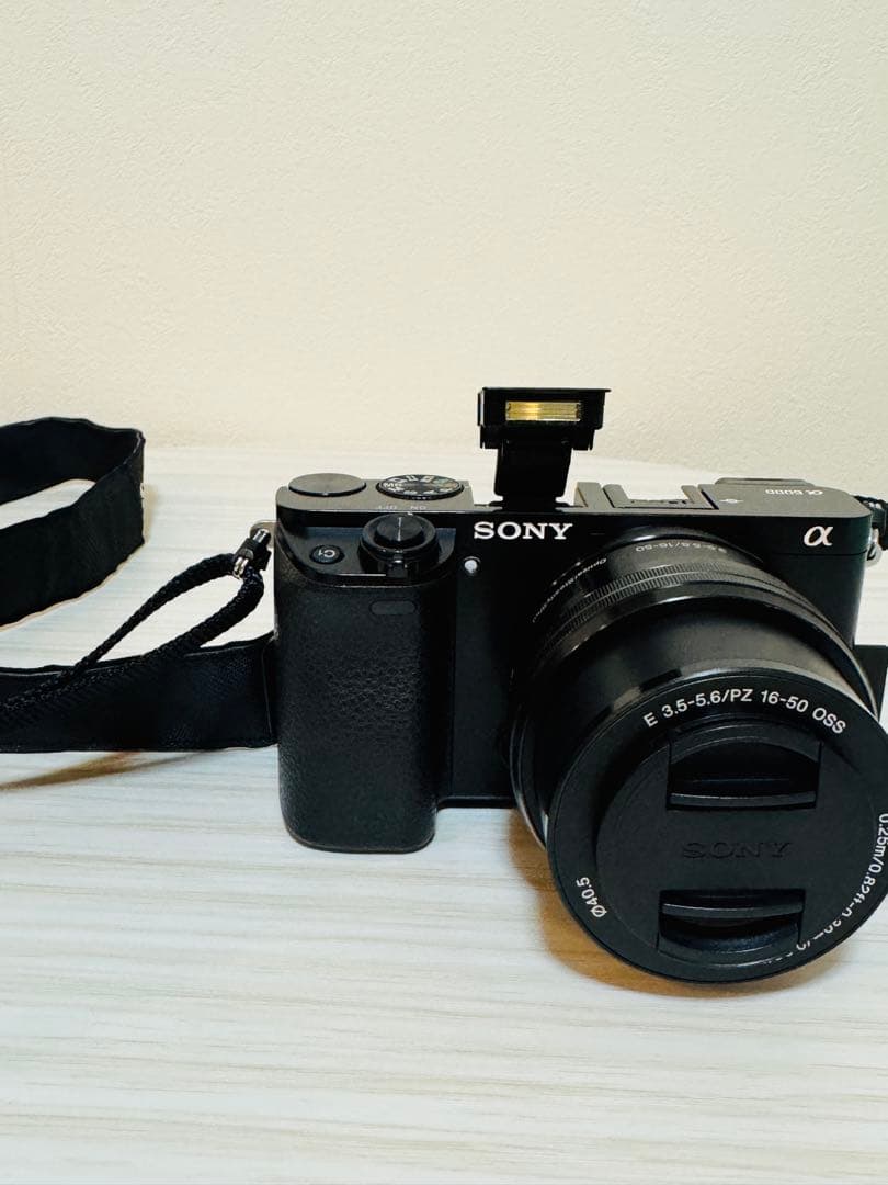 SONY α6000 ダブルズームキット 動作確認済 レンズフィルターおまけ付