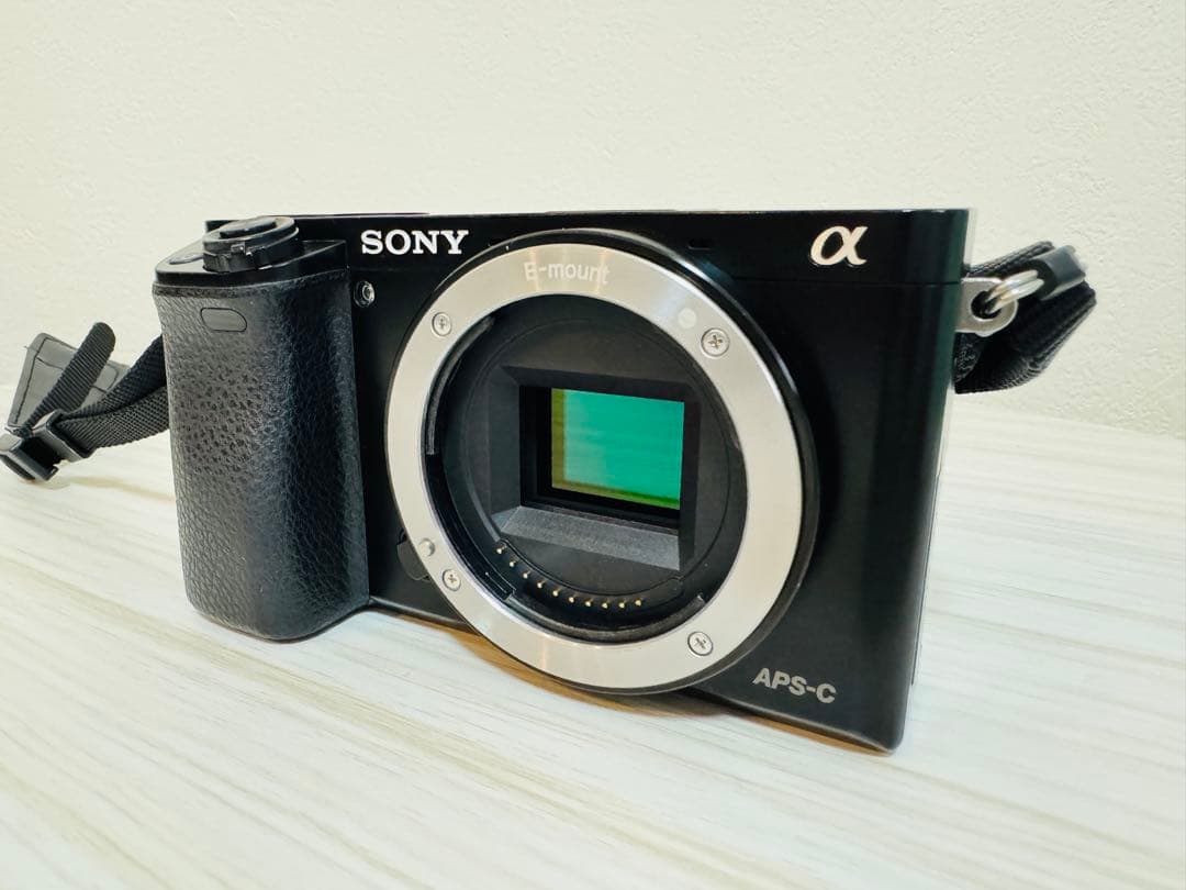 SONY α6000 ダブルズームキット 動作確認済 レンズフィルターおまけ付