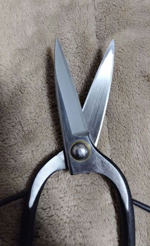 津島型 植木園芸鋏 225mm カシメ 青紙一号