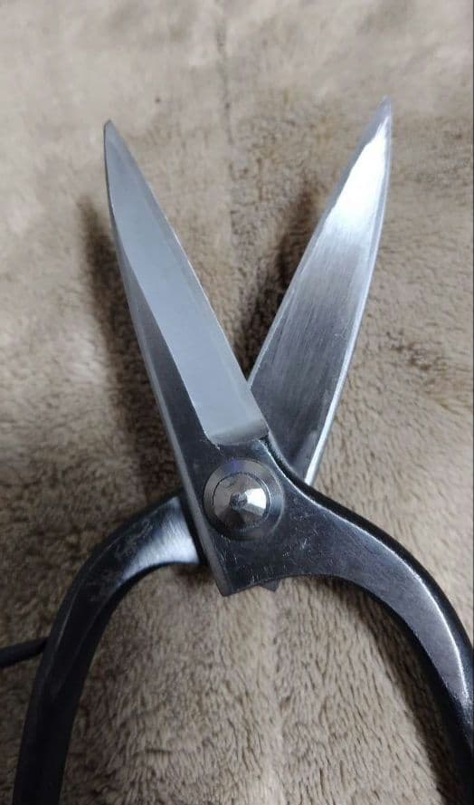 津島型 植木園芸鋏 225mm カシメ 青紙一号