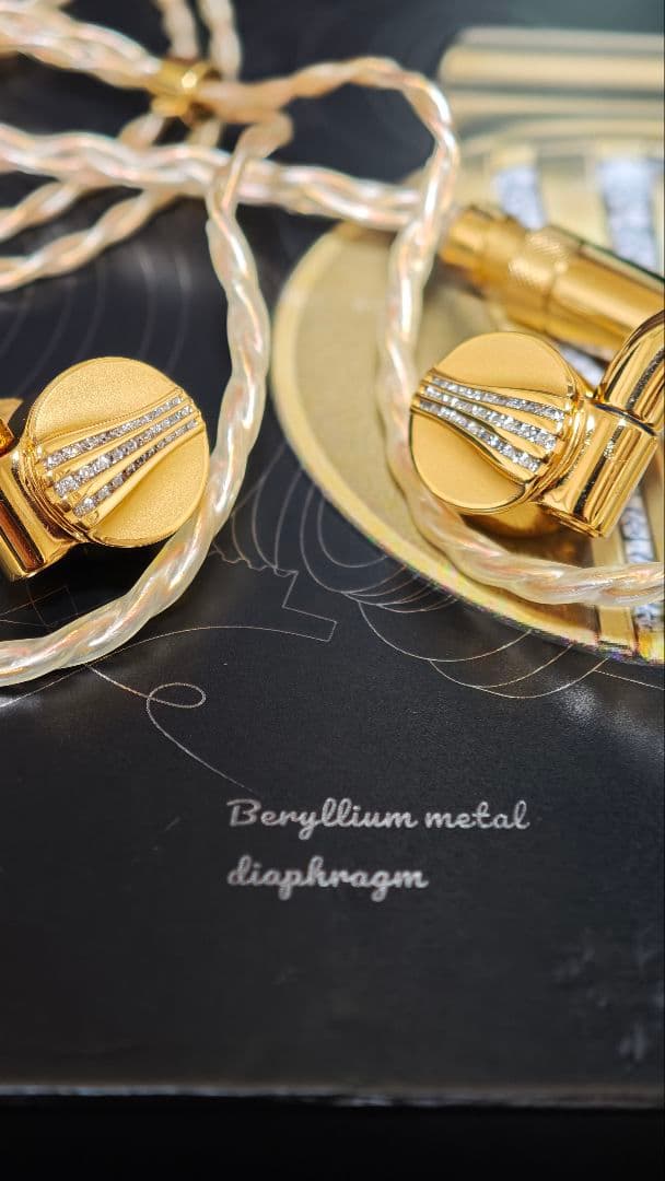 pudding さん専用FiiO FDX 　　FIIO有線イヤホン