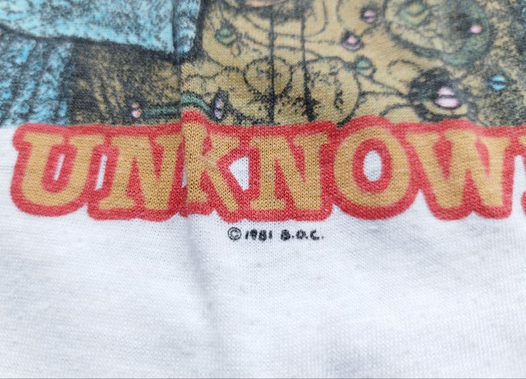 80s Blue Oyster Cult ラグラン Tシャツ