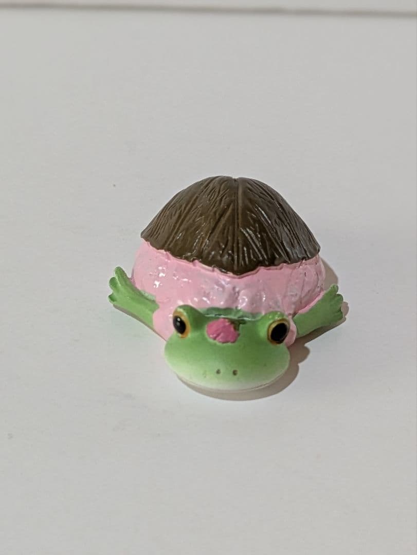 コポー カエル 【希少】