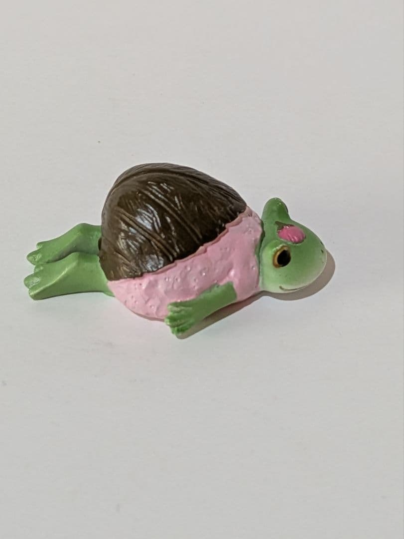 コポー カエル 【希少】