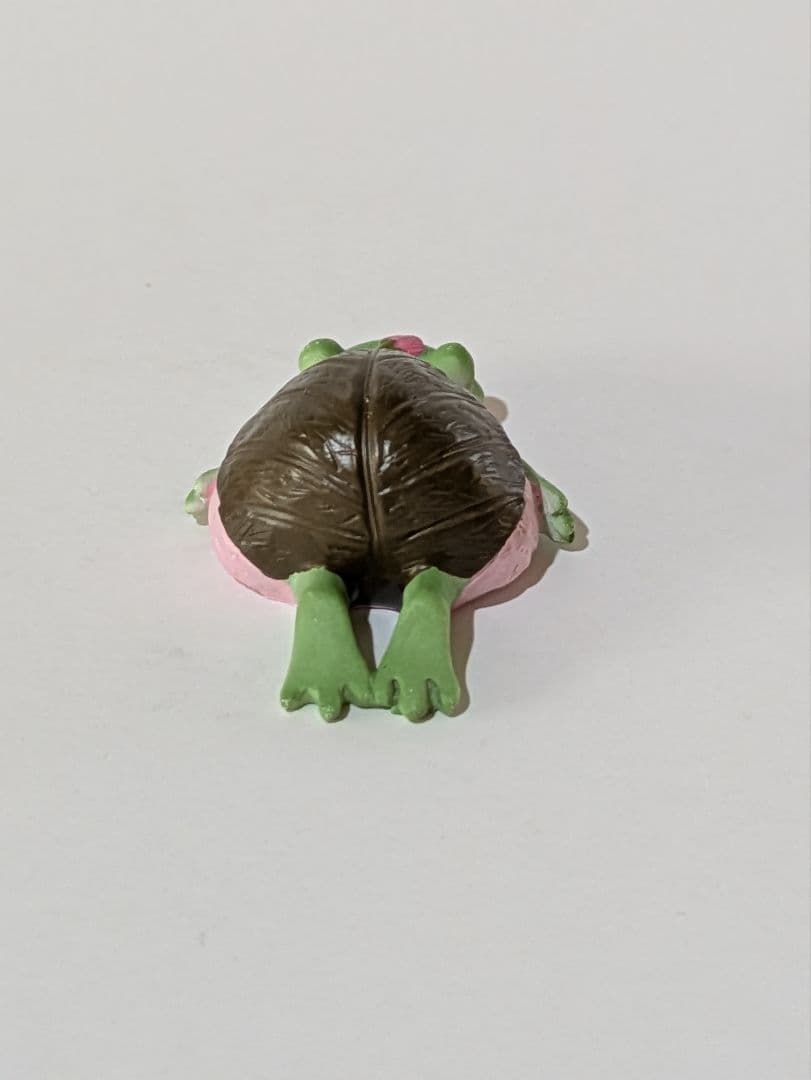 コポー カエル 【希少】