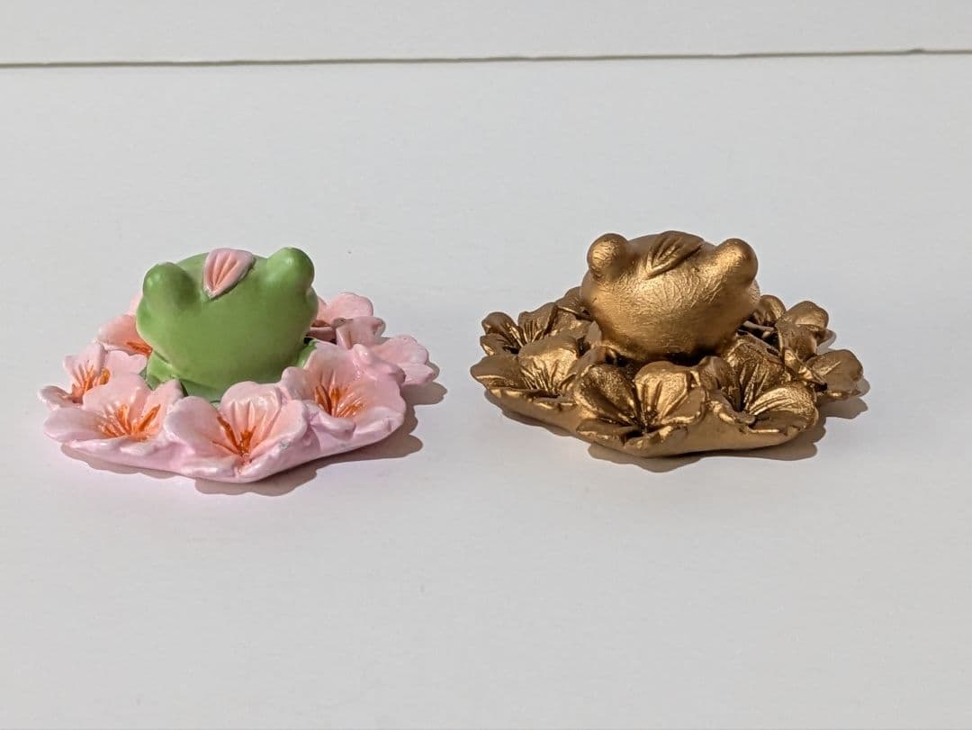 コポー カエル 【希少】