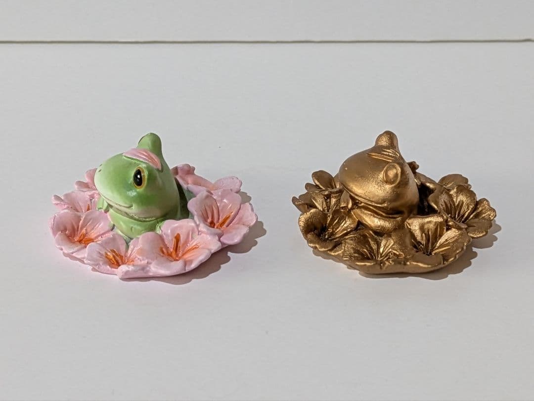 コポー カエル 【希少】