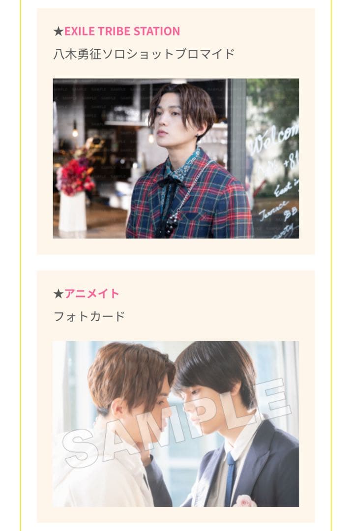 TVドラマ＆劇場版「美しい彼」公式ビジュアルブック 特典