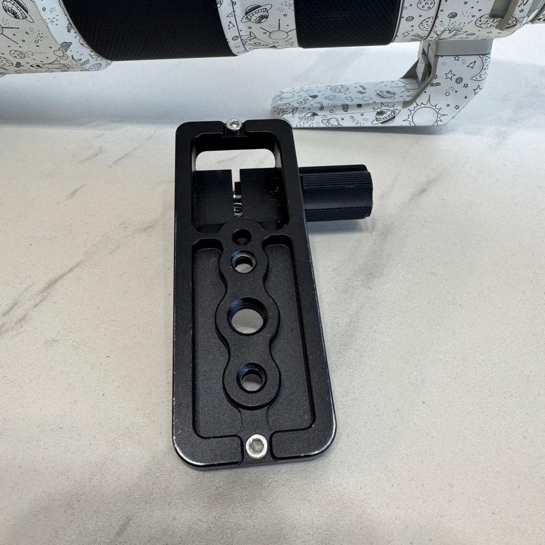 【おまけ多数】FE 200-600mm F5.6-6.3 G OSS