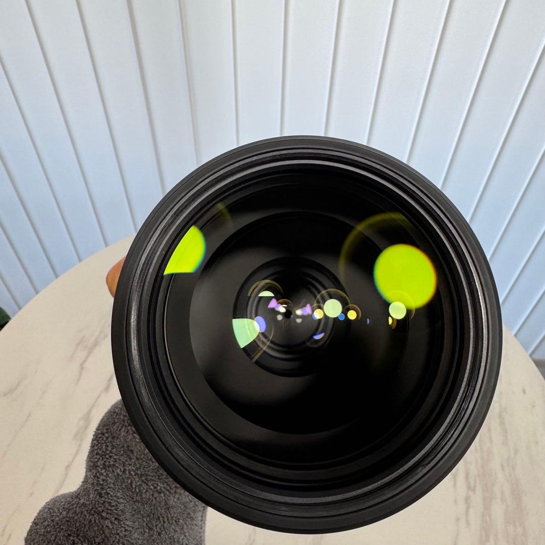 【おまけ多数】FE 200-600mm F5.6-6.3 G OSS