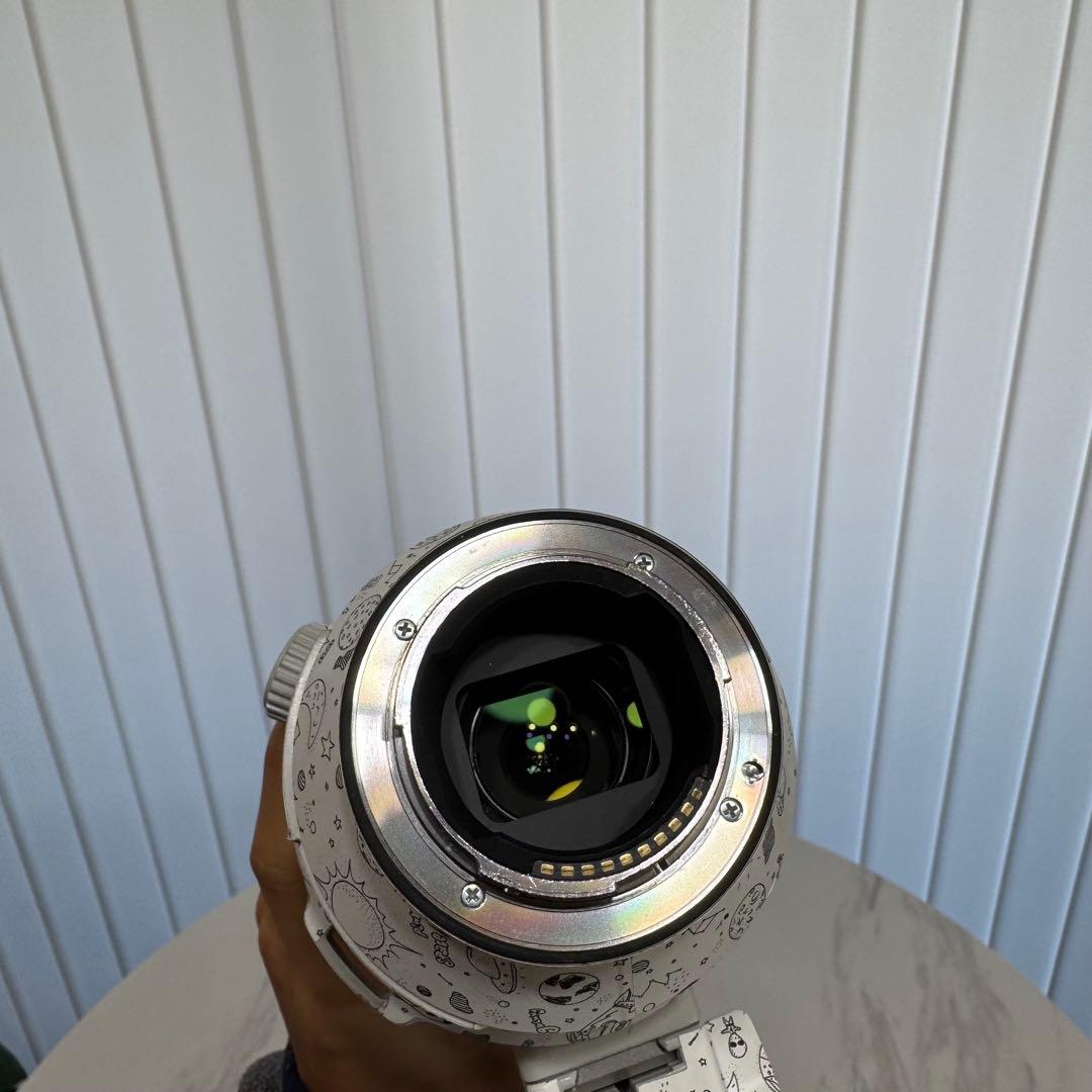 【おまけ多数】FE 200-600mm F5.6-6.3 G OSS